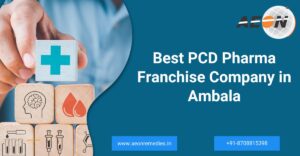 Read more about the article Top PCD Pharma Franchise Company in Ambala